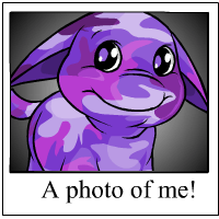Ohhh Look at me!