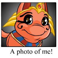 Ohhh Look at me!