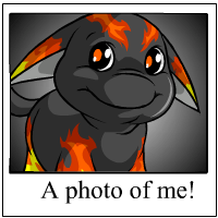 Ohhh Look at me!