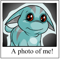 Ohhh Look at me!