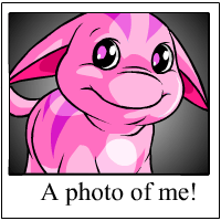 Ohhh Look at me!