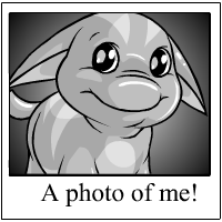 Ohhh Look at me!
