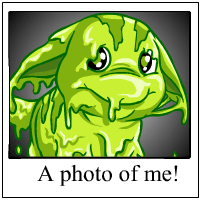 Ohhh Look at me!