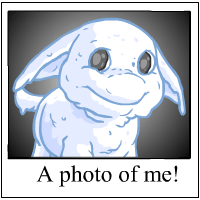 Ohhh Look at me!