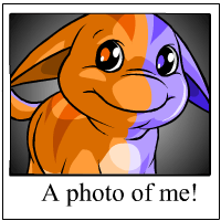 Ohhh Look at me!