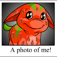 Ohhh Look at me!
