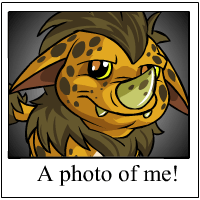 Ohhh Look at me!