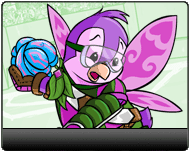 https://images.neopets.com/altador/altadorcup/2012/team_members/faerieland_c.gif