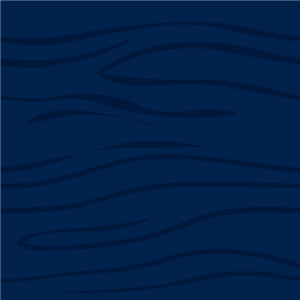 https://images.neopets.com/bookshelf/decors/backing/blueBacking/blueBacking_300x300.png