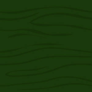 https://images.neopets.com/bookshelf/decors/backing/greenBacking/greenBacking_300x300.png