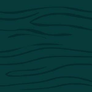 https://images.neopets.com/bookshelf/decors/backing/tealBacking/tealBacking_300x300.png