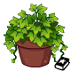 https://images.neopets.com/bookshelf/decors/decoration/IvyPlant/IvyPlant_80x80.gif