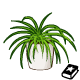 https://images.neopets.com/bookshelf/decors/decoration/SpiderPlant/SpiderPlant_80x80.gif