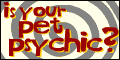 https://images.neopets.com/buttons/psychic_120x60.gif
