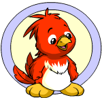 https://images.neopets.com/comp/petvote2005/1.gif