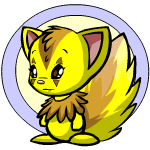 https://images.neopets.com/comp/petvote2005/2.gif