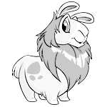 https://images.neopets.com/createpet/images/species-gnorbu.png