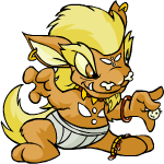 https://images.neopets.com/games/betterthanyou/contestant257.gif