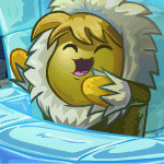 https://images.neopets.com/games/betterthanyou/contestant521.gif