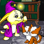 https://images.neopets.com/games/betterthanyou/contestant905.gif