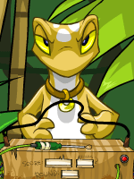 https://images.neopets.com/games/clicktoplay/ctp_307.gif