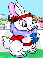 https://images.neopets.com/games/clicktoplay/ctp_330.gif