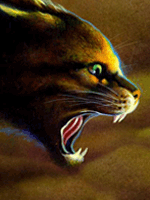 https://images.neopets.com/games/clicktoplay/ctp_787.gif