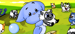https://images.neopets.com/games/clicktoplay/fg_149.gif