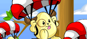 https://images.neopets.com/games/clicktoplay/fg_305.gif