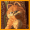 https://images.neopets.com/games/clicktoplay/tm_735.gif