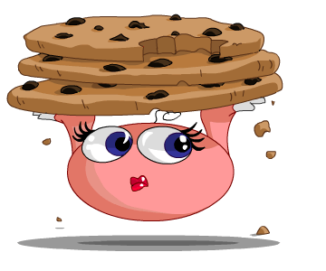 I just love this stupid kiko with cookies