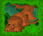 https://images.neopets.com/games/new_tradingcards/md_4.gif