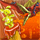 https://images.neopets.com/games/pages/icons/sml/s-532.png