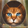https://images.neopets.com/games/pages/icons/sml/s-952.png