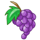 https://images.neopets.com/games/slots/grapes_0.gif