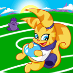 https://images.neopets.com/games/tradingcards/11.gif