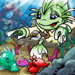 https://images.neopets.com/games/tradingcards/premium/1205.gif