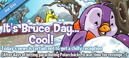 https://images.neopets.com/homepage/marquee/bruce_day_2009.jpg
