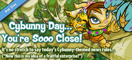 https://images.neopets.com/homepage/marquee/cybunny_day_2012.jpg