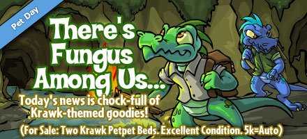 https://images.neopets.com/homepage/marquee/krawk_day_2008.jpg