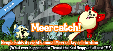 meerca_day_2008.png