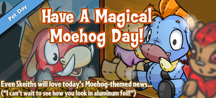 moehog_day_2013.jpg