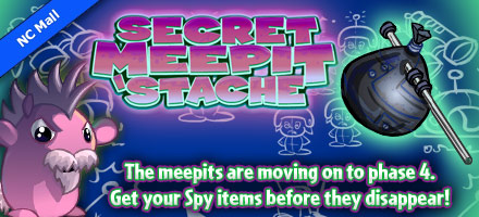 https://images.neopets.com/homepage/marquee/ncmall_game_meepit_retire3.jpg