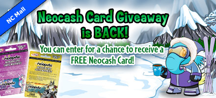 ncmall_nccard_sweepstakes_2010_ca.jpg