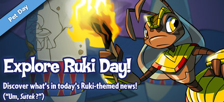 https://images.neopets.com/homepage/marquee/ruki_day_2012.jpg