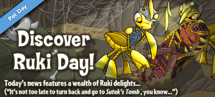 https://images.neopets.com/homepage/marquee/ruki_day_2013.jpg