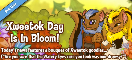 xweetok_day_2013.jpg