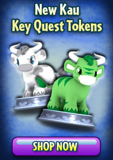 https://images.neopets.com/homepage/promo/2012/mall/2012_kqtokenkau.jpg