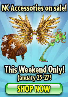 https://images.neopets.com/homepage/promo/2013/mall/2013_hpbbd_accs_sale.jpg
