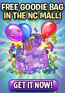 https://images.neopets.com/homepage/promo/2013/mall/2013_hpp_birthday_bag.jpg